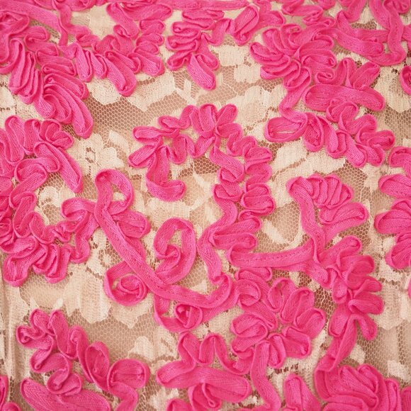 Anthropologie Yoana Baraschi Pink Jardim Lace Dress sz 6 - Picture 5 of 8